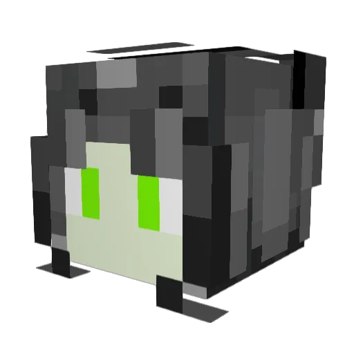 brayancraft2 Minecraft avatar head, 3D render