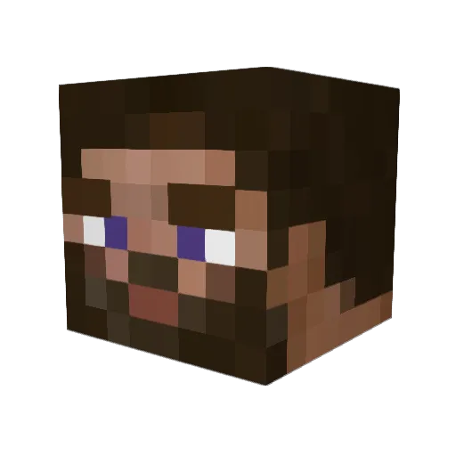 brayboys Minecraft avatar head, 3D render