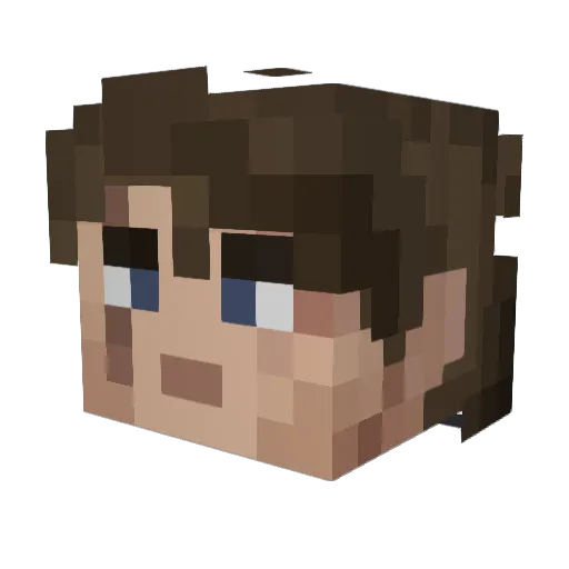 brayden456 Minecraft avatar head, 3D render