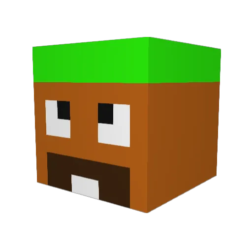 brayden_8 Minecraft avatar head, 3D render