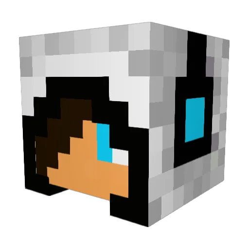 braydenhill Minecraft avatar head, 3D render