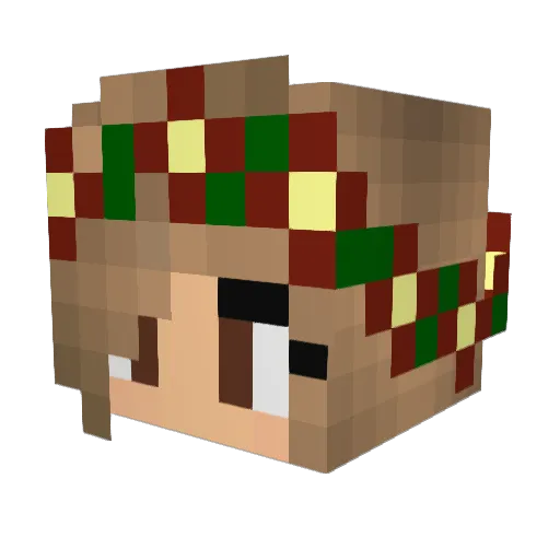 braydenprehn05 Minecraft avatar head, 3D render