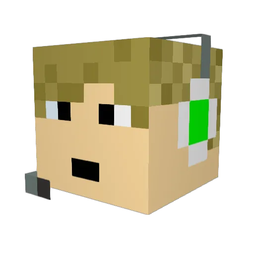 braydog2007 Minecraft avatar head, 3D render