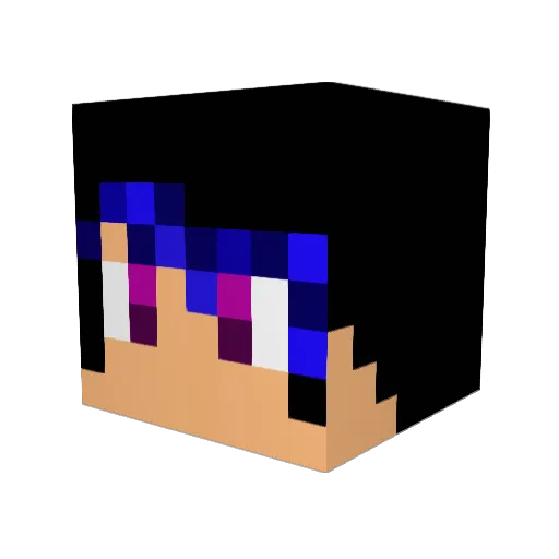 braydon45 Minecraft avatar head, 3D render