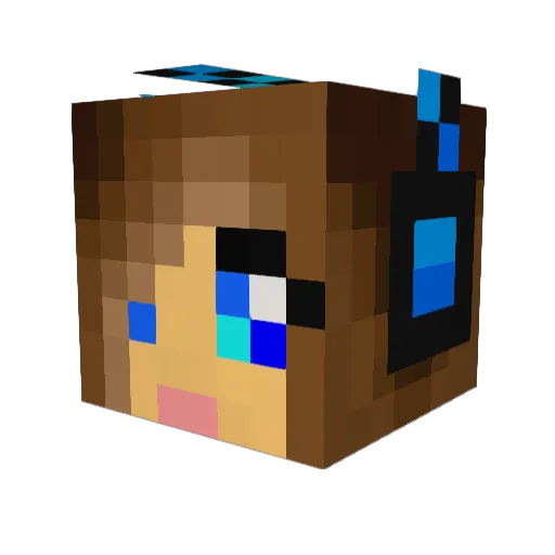 braylon05 Minecraft avatar head, 3D render