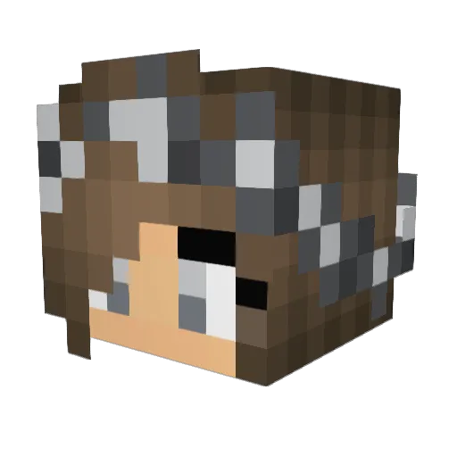 bre1232003 Minecraft avatar head, 3D render