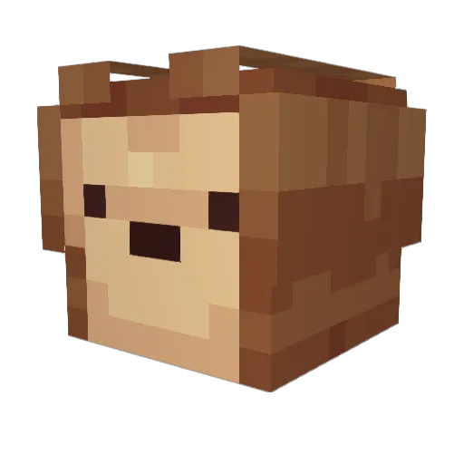 bread12346 Minecraft avatar head, 3D render