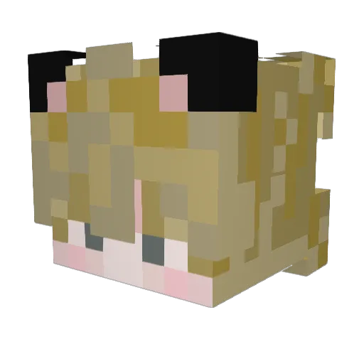 bread3718 Minecraft avatar head, 3D render