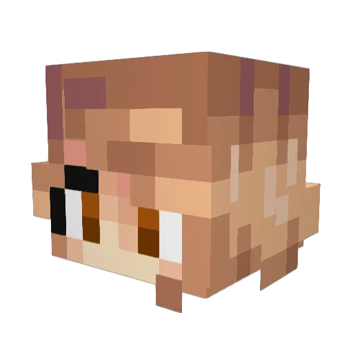 breadcrumbs22 Minecraft avatar head, 3D render