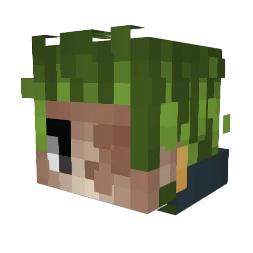 breadmedical_1 Minecraft avatar head, 3D render