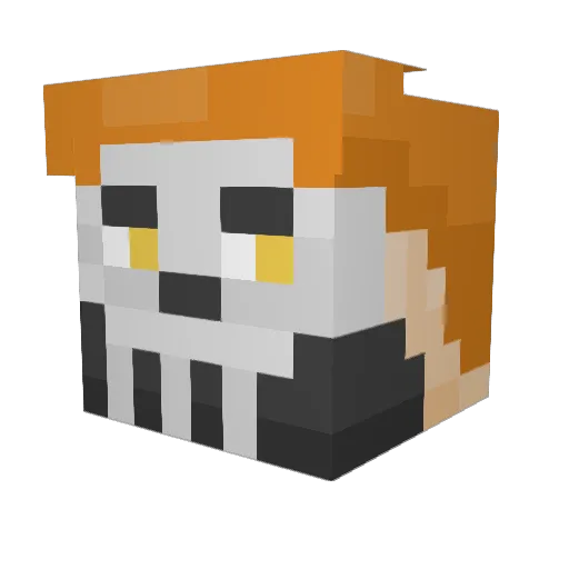 breadpirate_ Minecraft avatar head, 3D render