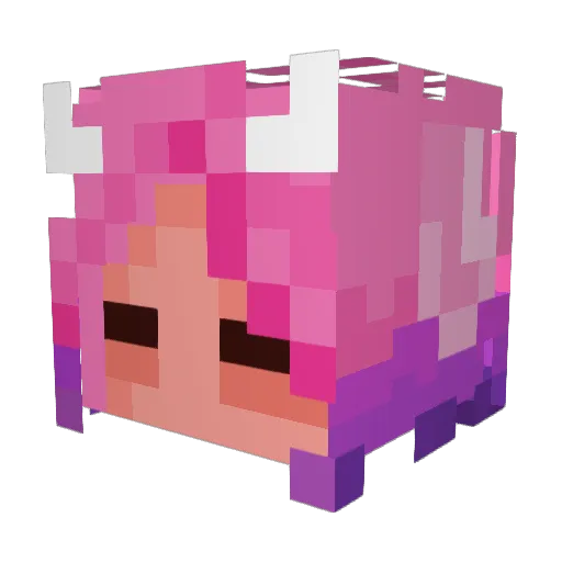 breadwitch666 Minecraft avatar head, 3D render