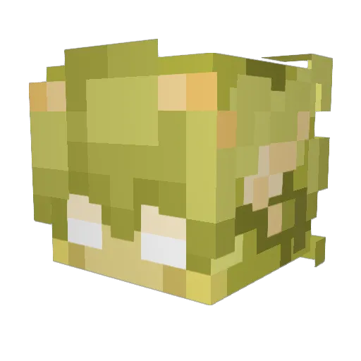 breadyummy_ Minecraft avatar head, 3D render