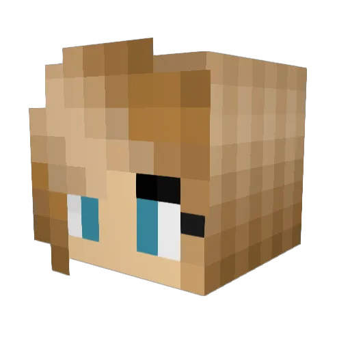 bredec69 Minecraft avatar head, 3D render