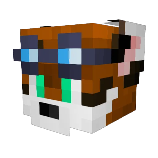 breesan Minecraft avatar head, 3D render