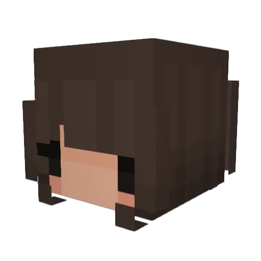 breezinatoe Minecraft avatar head, 3D render