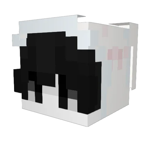 breezry Minecraft avatar head, 3D render