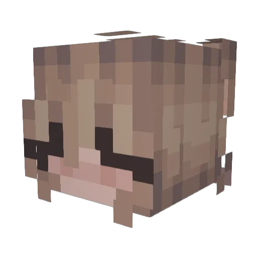 breezyb09 Minecraft avatar head, 3D render