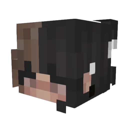 brefowler1234 Minecraft avatar head, 3D render