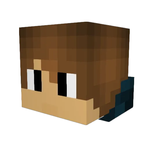 breller Minecraft avatar head, 3D render