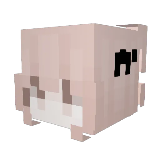 brendaho3 Minecraft avatar head, 3D render