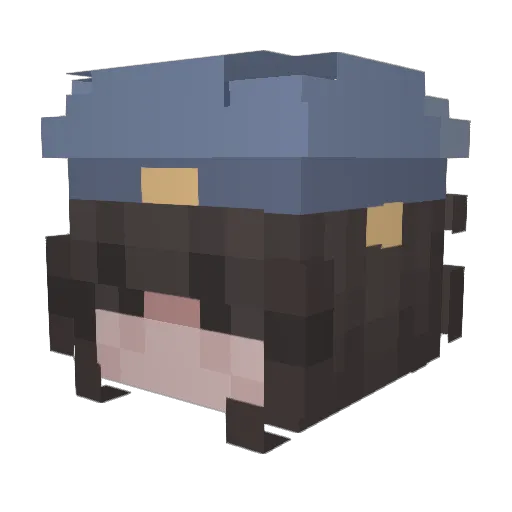 brendinaa Minecraft avatar head, 3D render