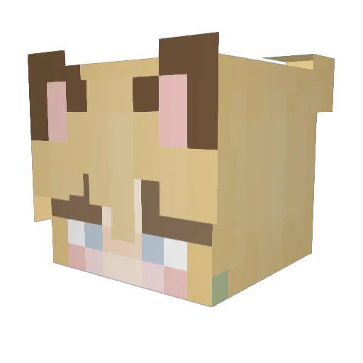brennathebunny Minecraft avatar head, 3D render