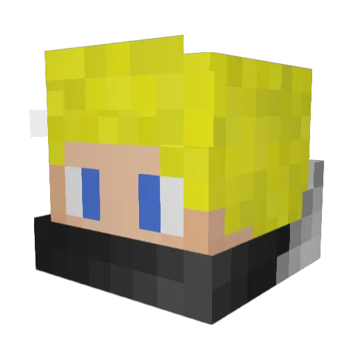 brenni3333 Minecraft avatar head, 3D render