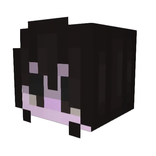 brenolol Minecraft avatar head, 3D render