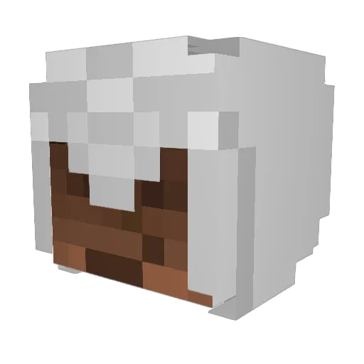 brent1203 Minecraft avatar head, 3D render