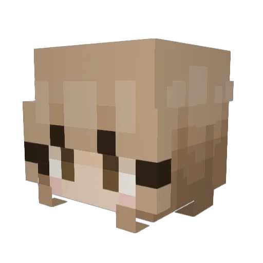 breonaaaa Minecraft avatar head, 3D render