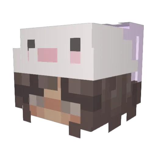 bresworldd Minecraft avatar head, 3D render