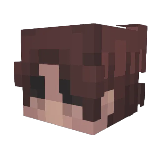 brete Minecraft avatar head, 3D render