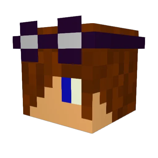 brett9191 Minecraft avatar head, 3D render