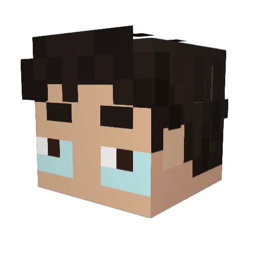 brettsucc Minecraft avatar head, 3D render