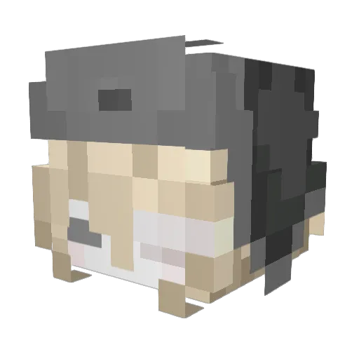 brevcty Minecraft avatar head, 3D render