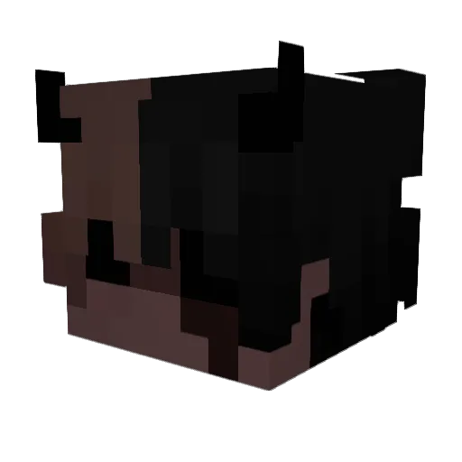 breznik1 Minecraft avatar head, 3D render