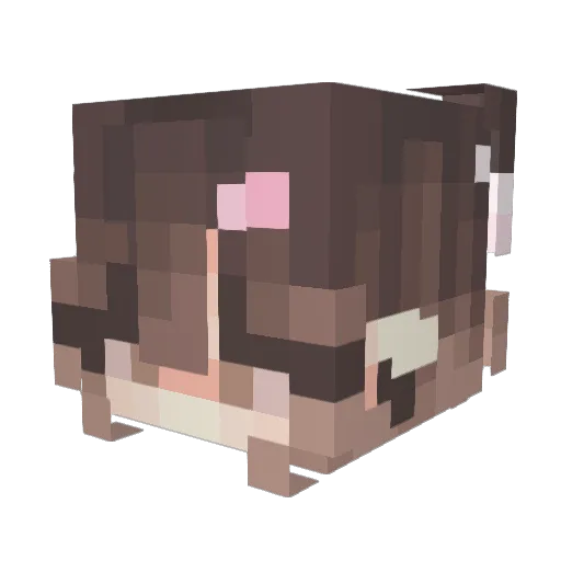 bri127 Minecraft avatar head, 3D render