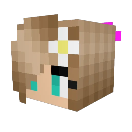bri511 Minecraft avatar head, 3D render