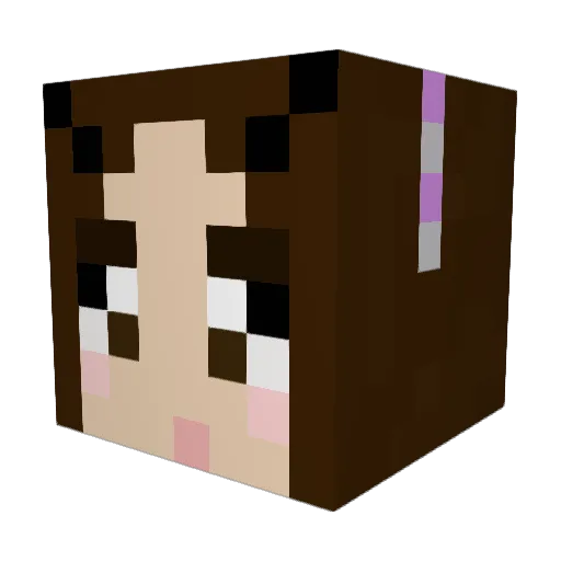 bri_8542 Minecraft avatar head, 3D render