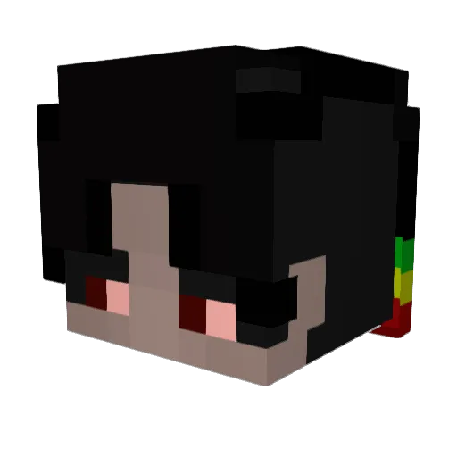 brian066 Minecraft avatar head, 3D render