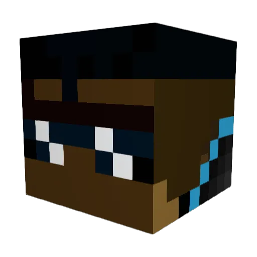 brian1466 Minecraft avatar head, 3D render