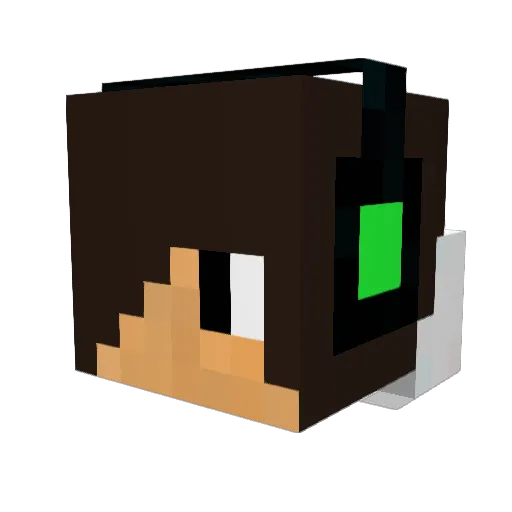 brian531531531 Minecraft avatar head, 3D render
