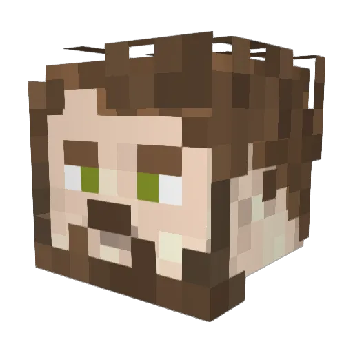 brian_hawkins Minecraft avatar head, 3D render