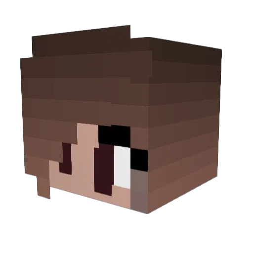 brianagracee Minecraft avatar head, 3D render