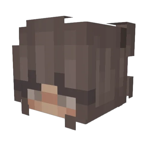 brianascottlyn Minecraft avatar head, 3D render