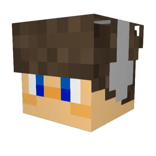 brianbebo Minecraft avatar head, 3D render