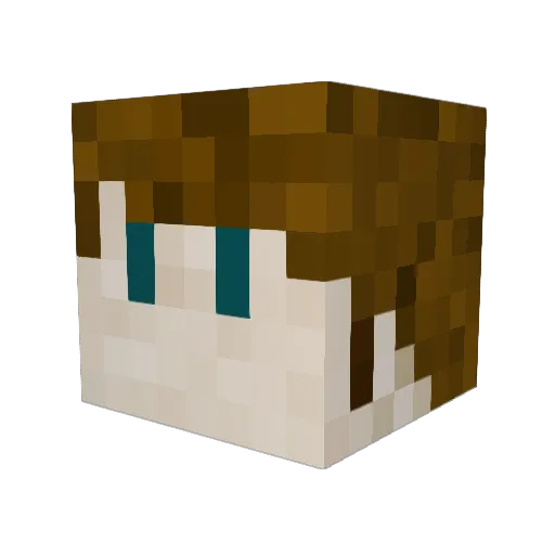 brianlam Minecraft avatar head, 3D render