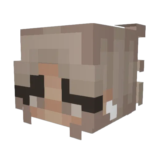briannaski28 Minecraft avatar head, 3D render