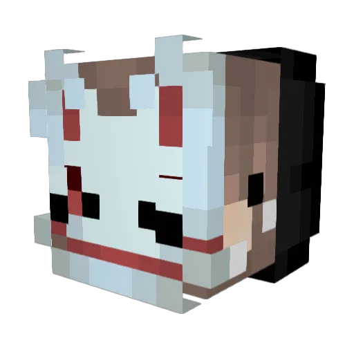 brianpw1 Minecraft avatar head, 3D render